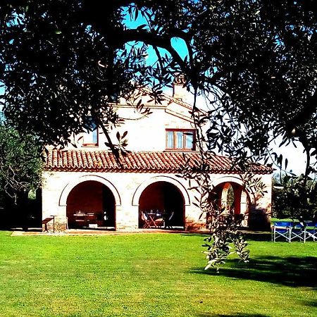 B&B La Casa Tra Gli Ulivi Civitanova Marche Zewnętrze zdjęcie